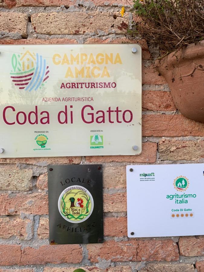 Agriturismo Coda Di Gatto Eraclea Exterior foto